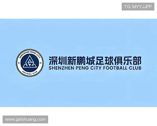 深圳新鹏城吉祥物主场赛前首秀